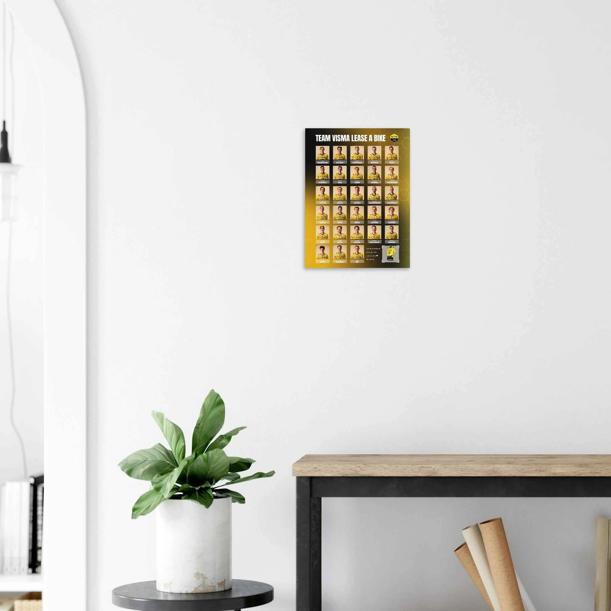 Affiche - Team Visma Lease a Bike 2026