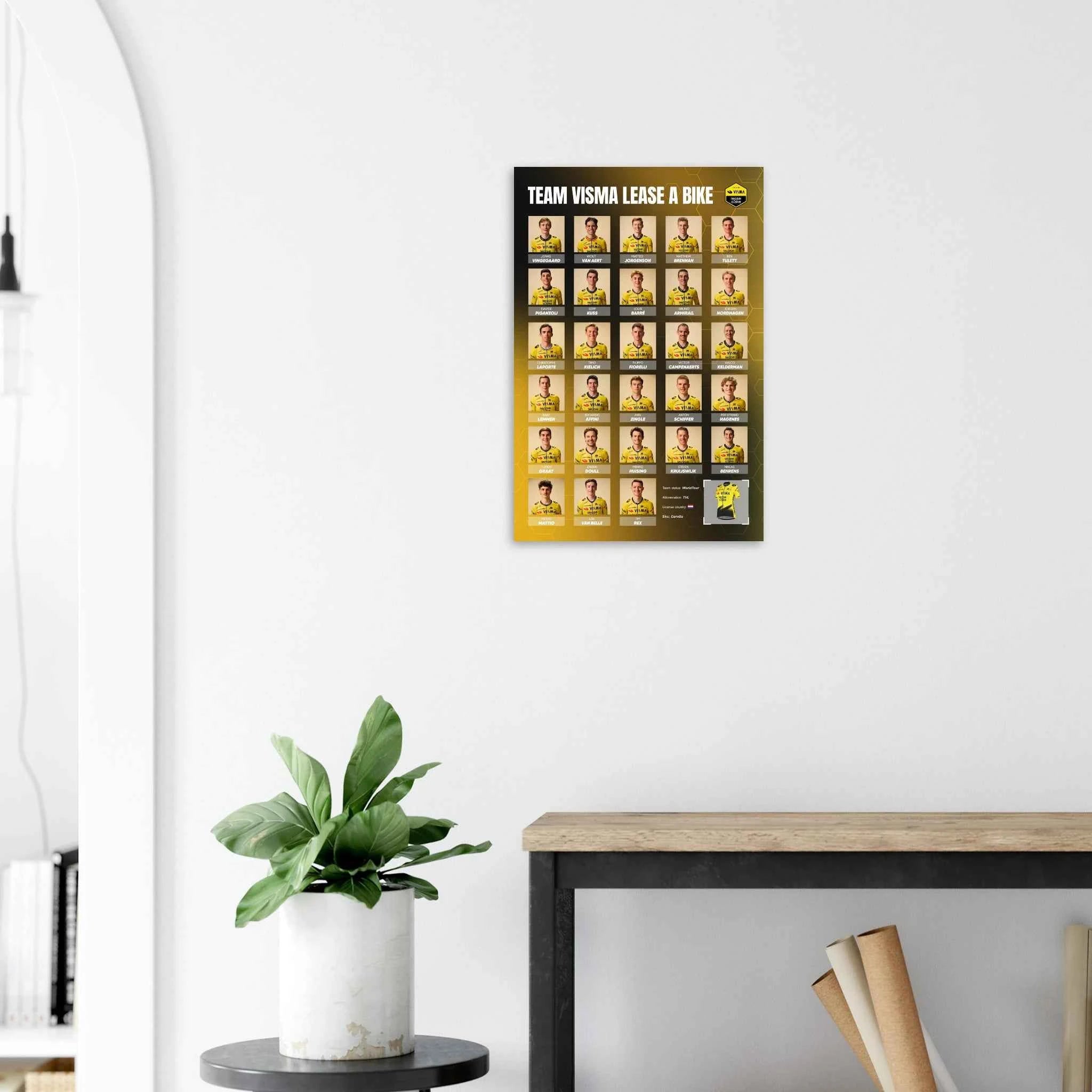 Affiche - Team Visma Lease a Bike 2026