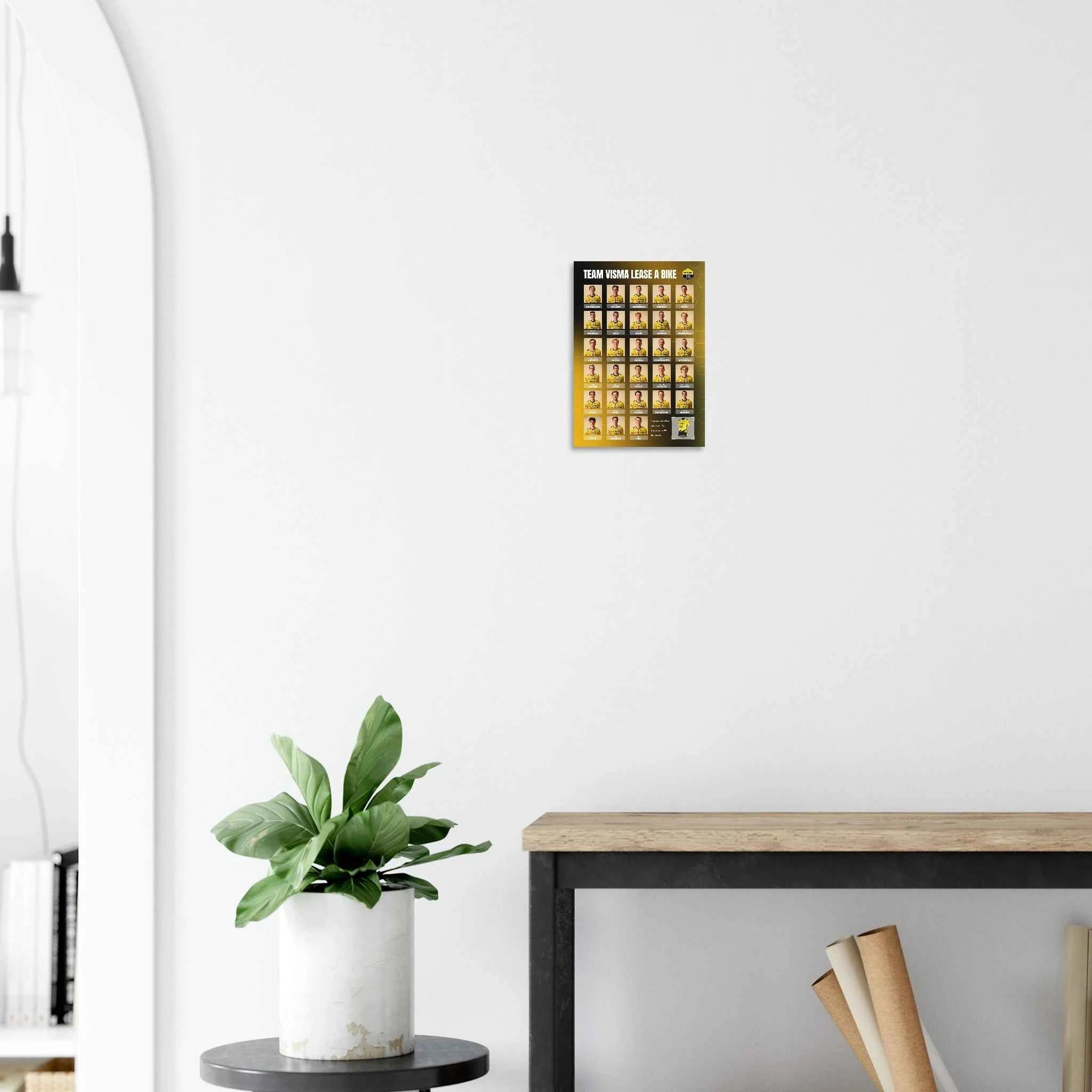 Affiche - Team Visma Lease a Bike 2026